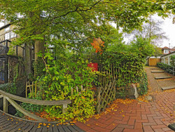 Field H-D 360 Seamless panorama wallpaper 2
