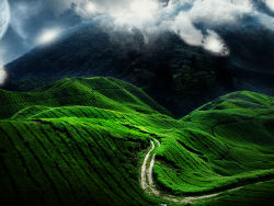 Beauty and Alternative landscape series wallpaper