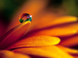 Water and water droplets series wallpaper