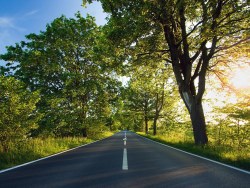 Random selection of wallpaper