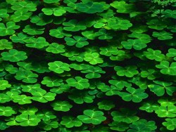 Cool green background