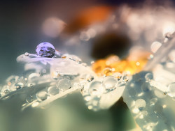 The rain as XiaCai multicolored himselfwallpaper